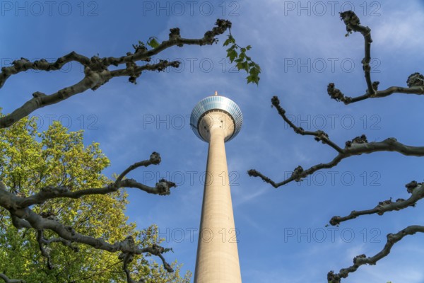 Rheinturm television tower, state capital Düsseldorf, North Rhine-Westphalia, Germany, Europe