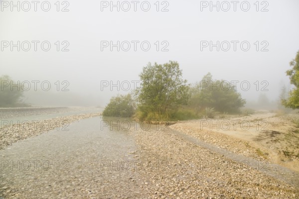 Isar valley nature conservancy area. The wild Isar river flows through its gravel bed past