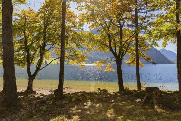 Grundlsee in autumn, salzkammergut, styria, Austria, Europe