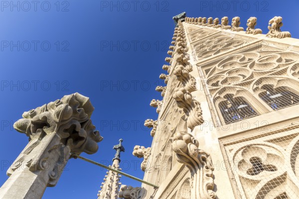 Neo-Gothic tower of St Aegidien Church in Oschatz, Saxony, Germany, Europe