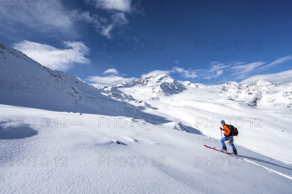 Ski tourers in a snow-covered mountain landscape, mountain peak Monte Cevedale and glacier