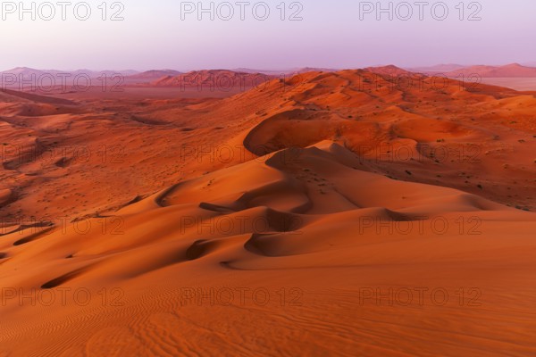 Wind-sculpted, curved, sand dunes in the Rub al Khali desert, Dhofar province, Arabian Peninsula,