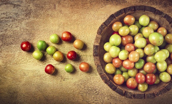 Cherry plum tkemali, fruit, plum variety, in a wooden plate, Georgian cuisine, top view, no people