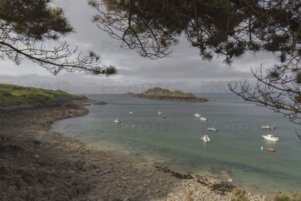 Beach with anchored motor boats, framed with the twigs of a pine tree. Looking at the sea and the