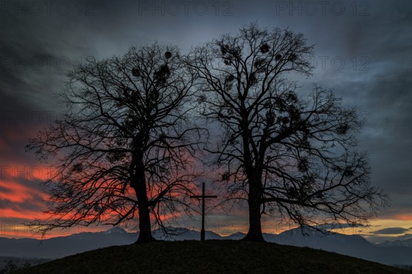 Dawn, mood, gloomy, trees, cross, Christian, mistletoe, mountain landscape, winter, view of