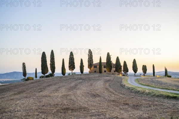 Tuscany landscape with cypresses and farmstead at sunrise, dawn, 'Podere Cipressini', San Quirico
