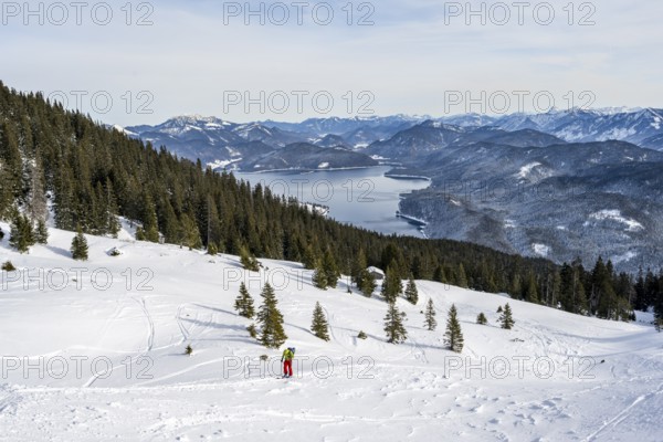 Ski tourers climbing Simetsberg, view of Walchensee, Estergebirge, Bavarian Prealps, Bavaria