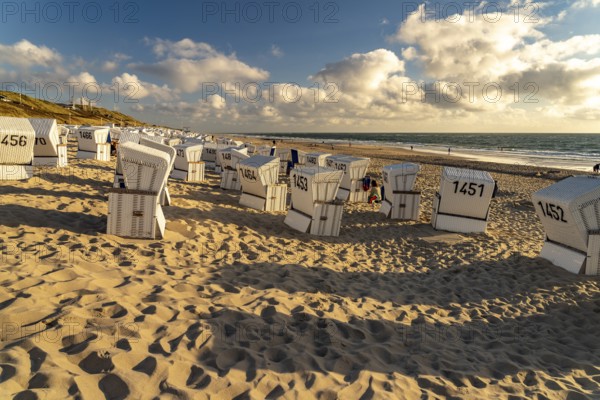 Beach chairs on the west beach near Westerland, Sylt island, North Friesland district,