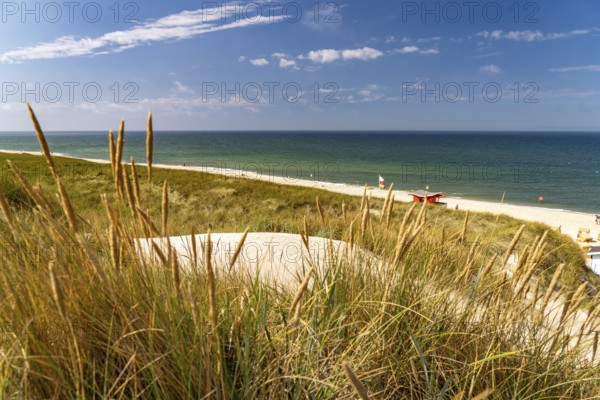 The west beach near Wenningstedt, Sylt island, North Friesland district, Schleswig-Holstein,