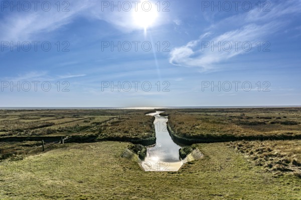 The East Frisian North Sea island of Juist in winter, marsh meadows in the west of the island,