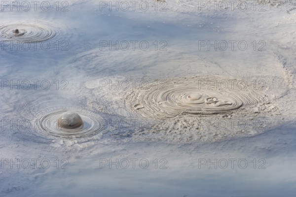 Hot bubbling mud, Waiotapu Thermal Park, Waiotapu, Rotorua, Bay of Plenty, North Island, New