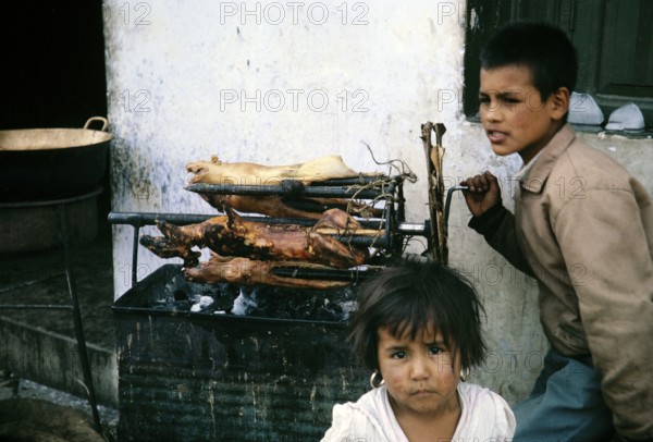 Children roasting guinea pigs on a spit at the market in Ambato, Ecuador, South America, 1962,