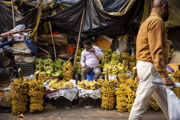 Vendor sell bananas at a market, waiting for customers on the day of the presentation of Union