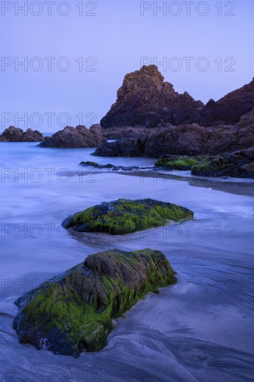 Rocks in Kynance Cove. Evening, blue hour. Long exposure. Kynance Cove, Lizard Peninsula, Cornwall,