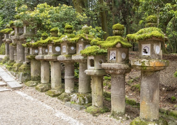 Stone lanterns, Kasuga-taisha shrine, Nara, Japan, Asia