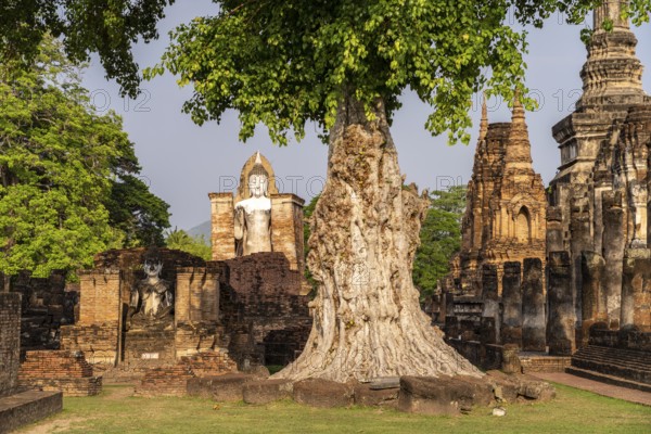 Buddha statues in the central Buddhist temple Wat Mahathat, UNESCO World Heritage Sukhothai