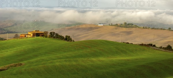 Landscape Panorama Crete Toscana Italy