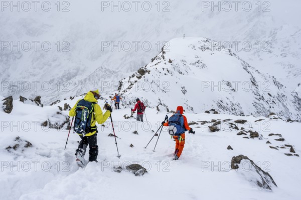 Kit tourers on the summit of the Köllkuppe or Cima Marmota, snow-covered mountain landscape, Ortler