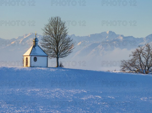 Chapel, tree, morning light, winter, snow, mountain landscape, near Riegsee, behind Zugspitze,