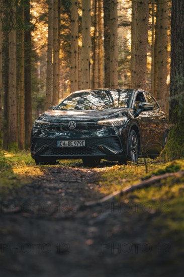 Black car in the forest at sunset, quiet autumn atmosphere, car sharing vehicle Deer Mobility,