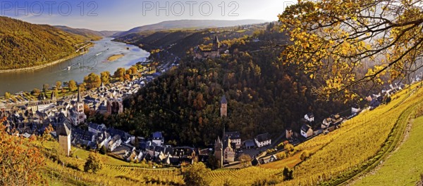 View of Bacharach and the Rhine in autumn, UNESCO World Heritage Upper Middle Rhine Valley,