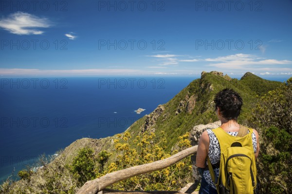 Panorama of Cabezo del Tejo, coast near Taganana, Anaga Mountains, Anaga, Tenerife, Northeast,