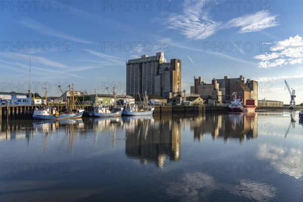 Cutter in the harbour in Husum, Nordfriesland district, Schleswig-Holstein, Germany, Europe
