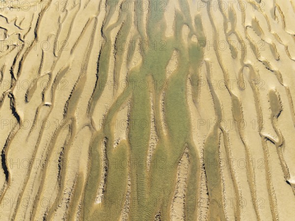 Network of channels and streams at low tide. In the marshland adjacent to the Odiel river. Aerial