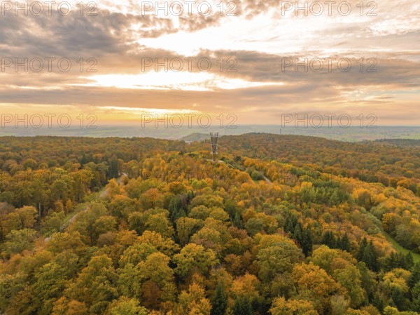 Extensive autumnal forest with observation tower and lush greenery, Schönbuchturm, Herrenberg,
