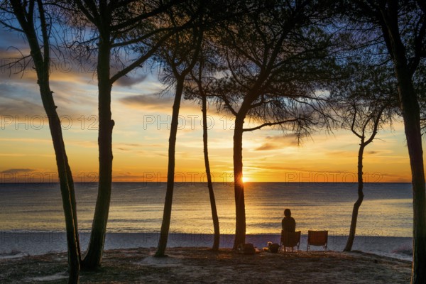 Lonely sandy beach and pine forest, Spiaggia di Isula Manna, sunrise, Santa Maria Navarrese, Gulf