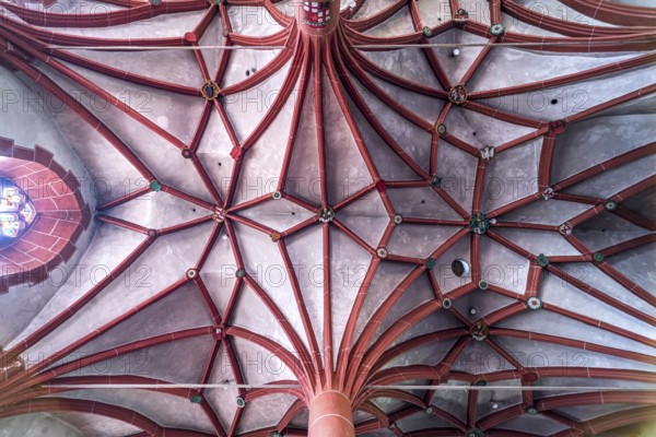 Star vault in the interior of the Catholic parish church of St Martin in the Ediger district,