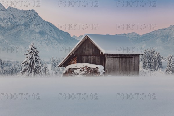 Deep snowy winter morning mood near Halblech in the foothills of the Alps in the Allgäu with the