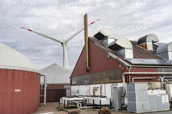 Biogas plant produces gas from various biomass, electricity is generated in combined heat and power