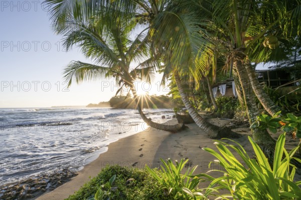 Sea and Caribbean sandy beach with palm trees at sunrise, sun star, Caribbean coast, Playa Negra,