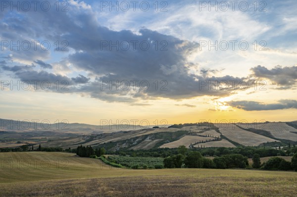 Typical Tuscan landscape in Val d'Orcia with hills, trees, fields, cypresses and farm road in