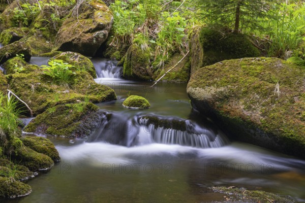 Kleine Ohe creek below Waldhaeuser village in the Bavarian Forest Nationalpark. Flowing water,