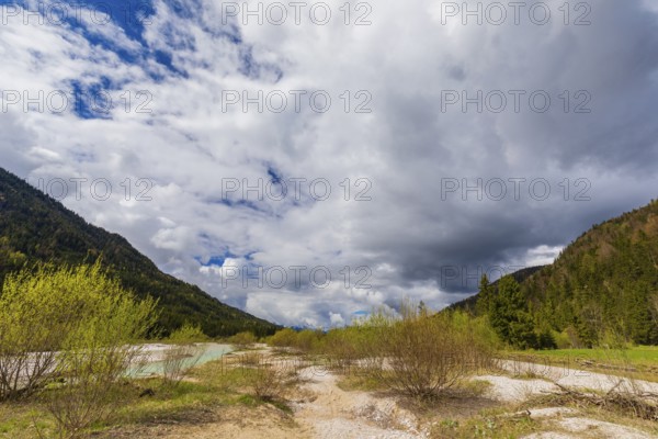 Isar valley nature conservancy area. The wild Isar river flows through its gravel bed past
