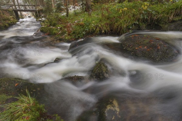 Kleine Ohe creek below Waldhaeuser village in the Bavarian Forest Nationalpark. Flowing water and