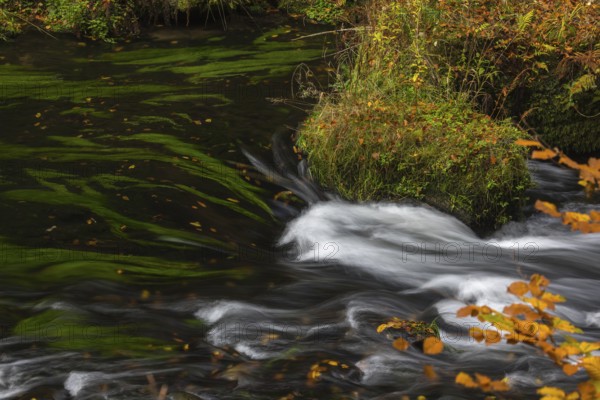Flowing water with ferns and rocks in the Edmunds Gorge in autumn. River Kamnitz, Hrensko, Ustecky