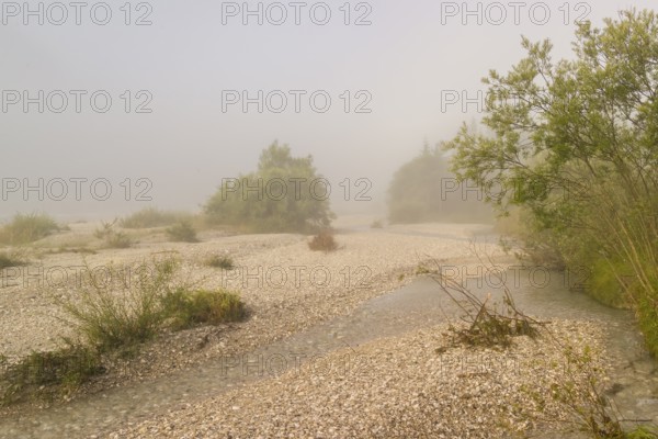 Isar valley nature conservancy area. The wild Isar river flows through its gravel bed past