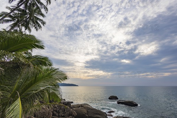 Wild beach with surf on the coast facing the Indian Ocean. Palm trees and high waves at sunset.