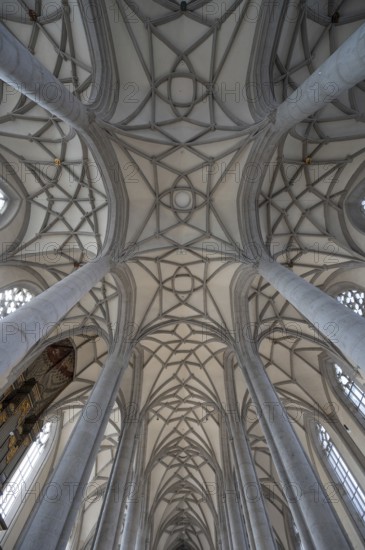 Vaults of the late Gothic church of St George, built between 1427 and 1505, church, Nördlingen,
