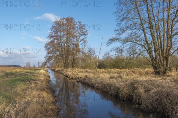 View of the vegetation along the Fangegraben at the Steinhuder Meer, ditch, trees, landscape photo,