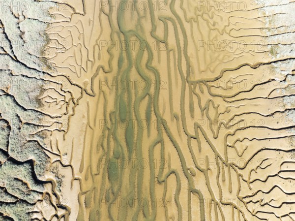 Network of channels and streams at low tide. In the marshland adjacent to the Odiel river. Aerial