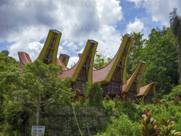 Traditional houses with curved roofs, village in Tana Toraja, Sulawesi, Indonesia, Asia