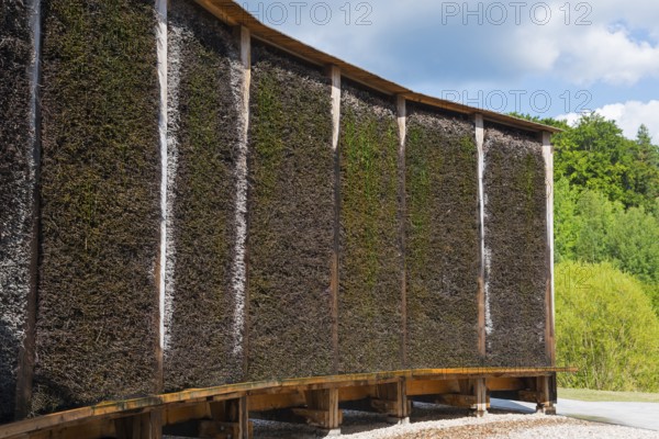 Elongated Kneipp facility with wooden structure, surrounded by green foliage and sky, brine,