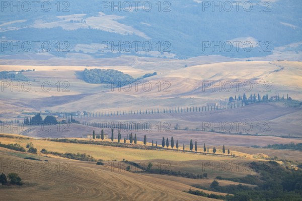 Typical Tuscan landscape in Val d'Orcia with hills, trees, fields, farmhouses and cypresses in
