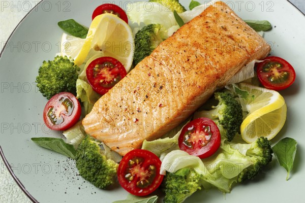 Grilled salmon fillet, with vegetables, broccoli, cherry, iceberg lettuce, spices and herbs,