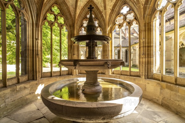 Well house in Maulbronn Monastery, Maulbronn, Baden-Württemberg, Germany, Europe