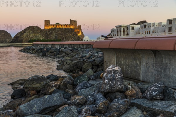 Quay wall at the Sultan's Palace, behind the illuminated photo Al Jalali, Muscat, Arabian